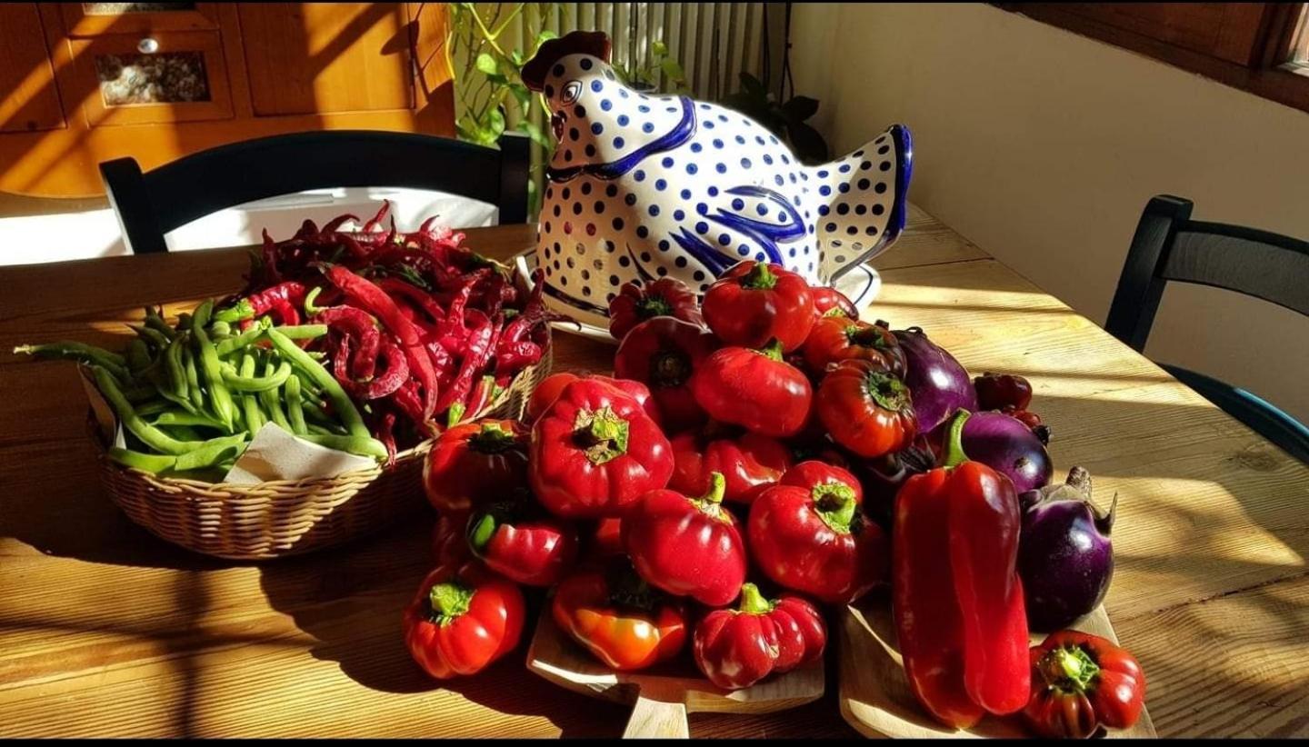 Il Giardino Di Frafa Apartment กวาร์ตู ซานเตเลนา ภายนอก รูปภาพ